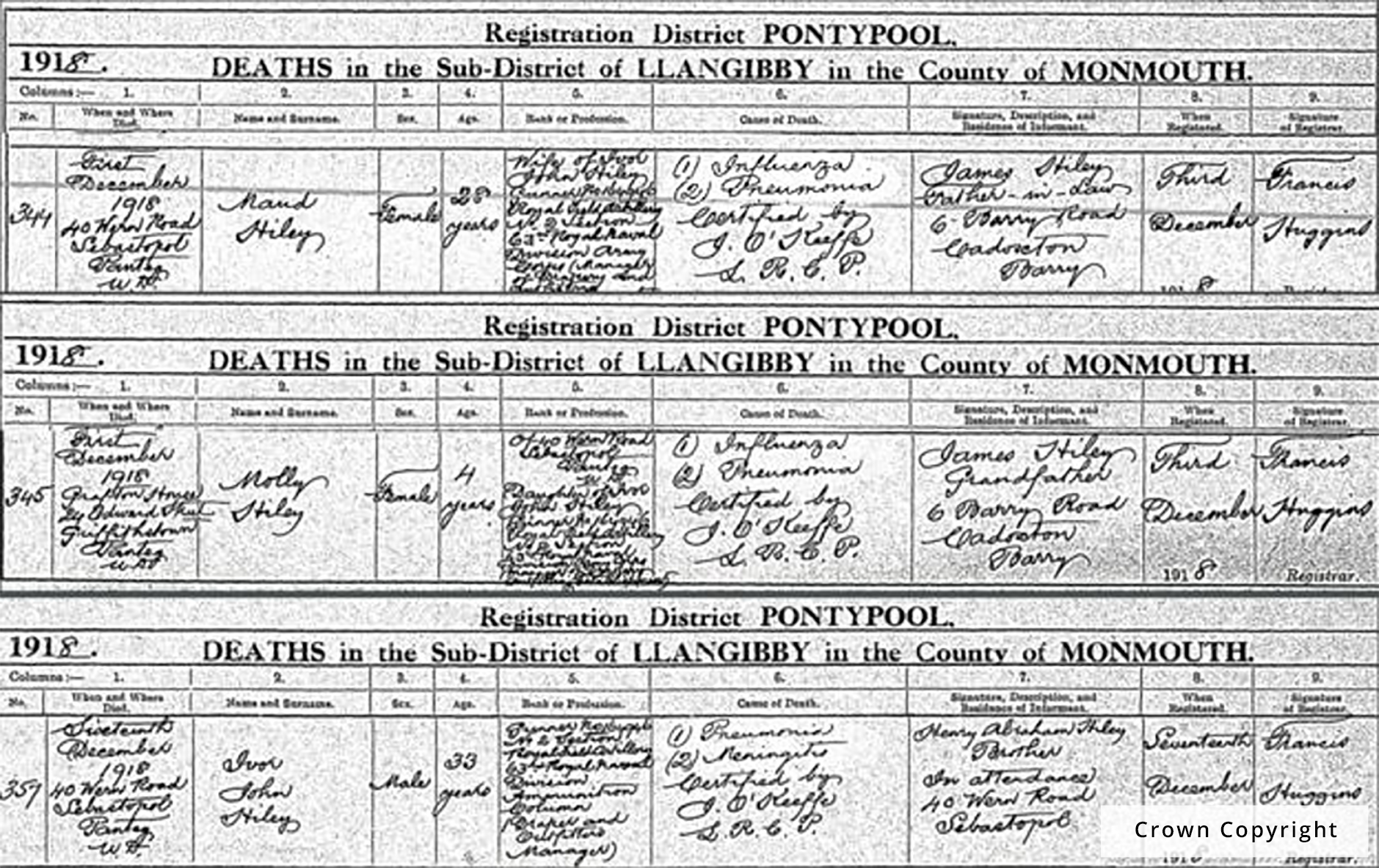 Death records Spanish flu